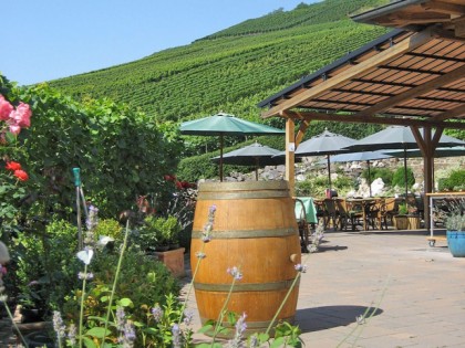 照片: Weinhaus Michaelishof